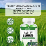 Barley Gummy Barley Leaf Gummy Bear Gel Candy Suppergreen 120g (2g*60 capsules)