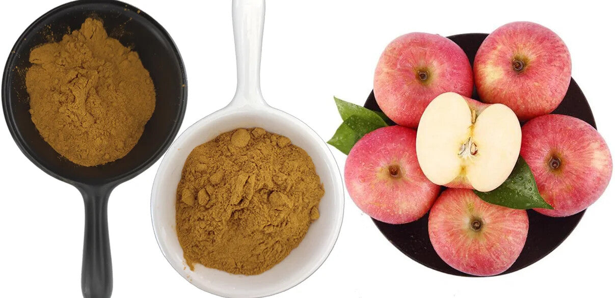 250g Apple Peel Extract Organic Apple Polyphenol Apple Peel Extract Powder