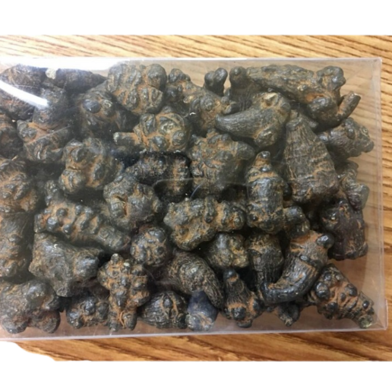 Black Radix Pseudoginseng 黑田七頭500g , good quality and price