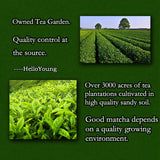 Organic Matcha Green Tea Powder Unsweetened 100% Natural Latte & tea weight loss products