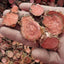 CIFbuy Rhodiola Rosea Root 100% Natural Herbal Tea High Grade Wild Whole Root Pieces