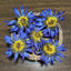 CIFbuy 2023 New Blue Lotus Flower Tea, Fresh Egyptian Blue Water Lilies, Dried Blue Lotus Flowers, 50g