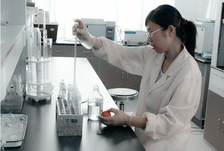 100g Yunnan High Quality Black Tea  Mini Cake  Premium Gold Buds Dianhong Health