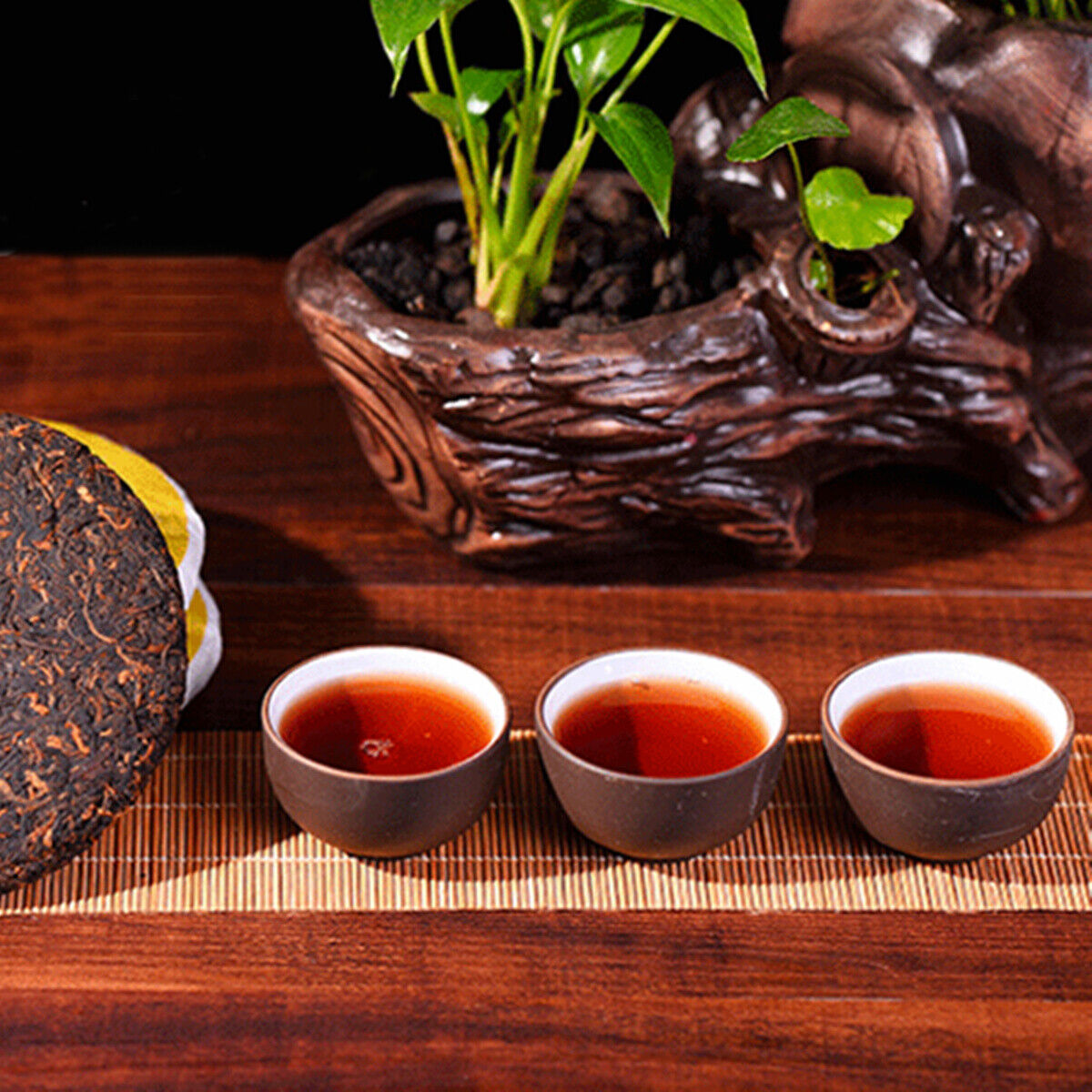 100g Ripe Pu Erh Tea Health Care Organic Black Tea Chinese Puer Tea Green Food