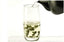 250g China Tieguanyin Slimming Tea Famous Taiwan Ginseng Oolong Tea Tie Guan Yin