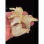 CIFbuy 100g Organic Dried Bletilla Striata Bletilla Pseudobulb Rhizoma Bletillae Bai Ji