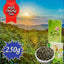 CIFbuy HelloYoung Milk Oolong Tea Original Good Tea Natural Organic Oolong Tea Green Food Without Additives Strong aroma resistant to brewing