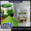 Imported Unsweetened Premium Organic Barley Grass Powder 250g Protein. Great for Juices, Smoothies, Shakes, Yogurts