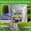 Barley Grass Powder Original 100% Pure And Organic Green Tea Barley Grass Powdered Drink Rich in Immune Vitamin, Fibers, Minerals