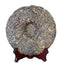 Natural Organic Health Puer Tea Pu-erh Tea Cake Yunnan Cha Tea Sheng Tea 357g