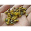 CIFbuy 100g Chrysanthemum | Wild Harvest | Wild Chrysanthemum | Ju Hua