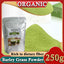 Barley Grass Powder 100% Pure & Organic Organic Barley Grass Powder Pure Organic Barley for Women and Men 250g Rich in Fibers, Vitamins, Minerals, Raw Organic