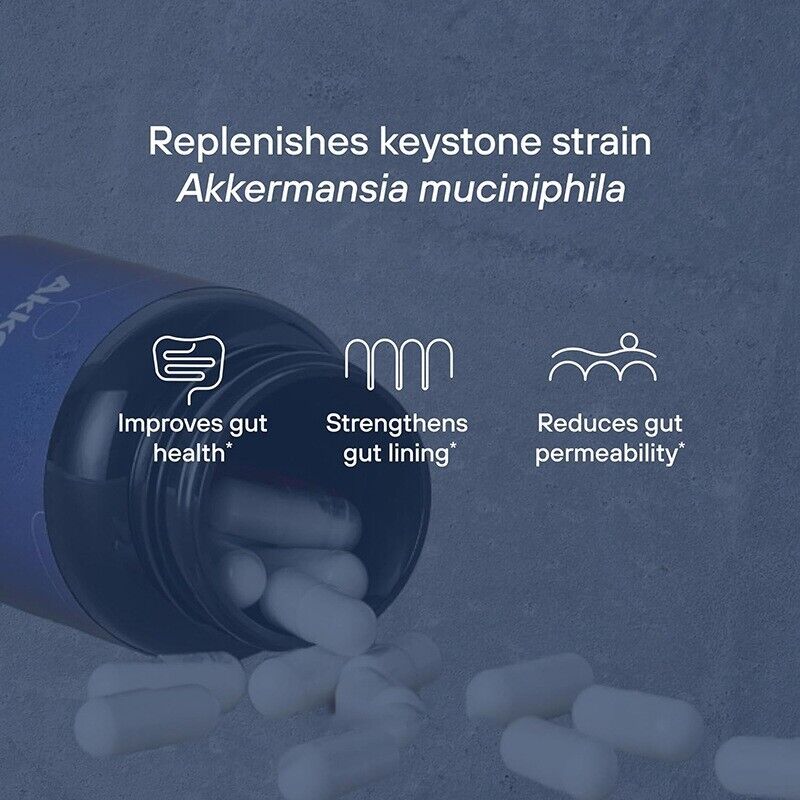 Akkermansia Muciniphila Probiotic - 30 Caps - Gut Health Support, New Formula