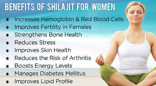 Himalaya Shilajit GOLD Gummibärchen, Bio, extrem wirksam 3000 mg, Fulvosäure