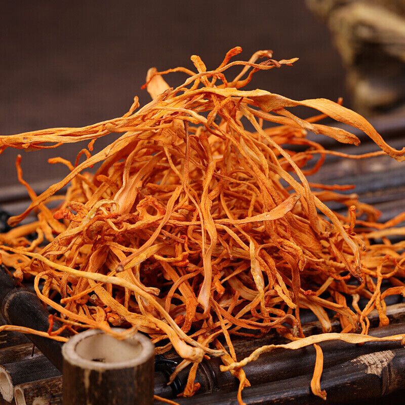 80g Organic Cordyceps Sinensis Dried Mushroom Chinese Tradition