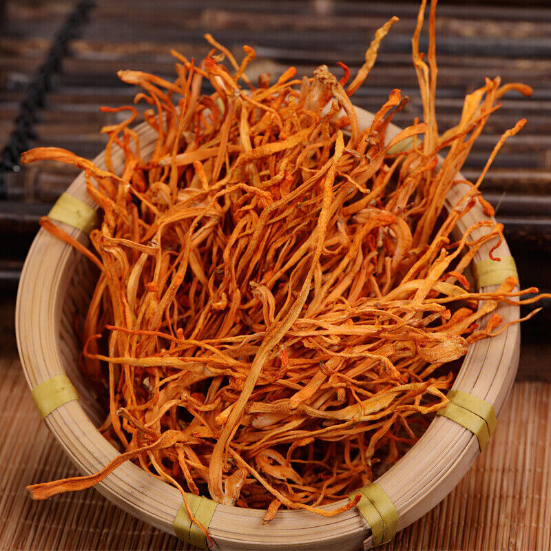 80g Organic Cordyceps Sinensis Dried Mushroom Chinese Tradition