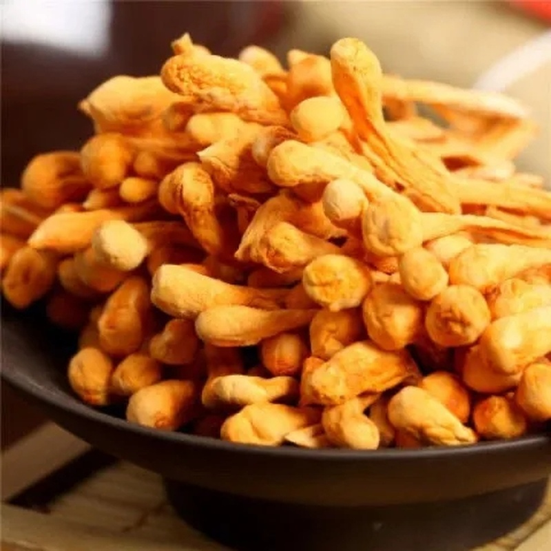 250g/8.8oz Tradition Organic Cordyceps Sinensis Dried Mushroom