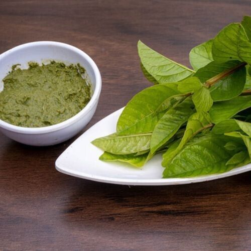 100% Herbal Tea | Loss Weight Organic Dried Guava Leaves Powder