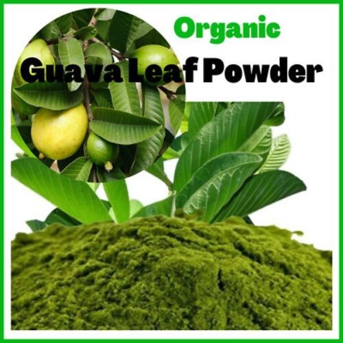 100% Herbal Tea | Loss Weight Organic Dried Guava Leaves Powder