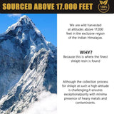 Himalayan Shilajit Soft Resin Organic Extract - Potent Fulvic Acid Supplement