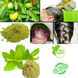 100% Herbal Tea | Loss Weight Organic Dried Guava Leaves Powder