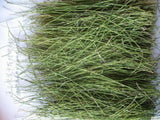 Muheng Tea Herbal Tea Mo heng Green Tea Pure Raw Black Tea New Tea Moheng