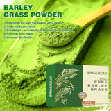 100Pcs Barley Grass Powder 100%Pure &Organic, Pure Organic Barley--