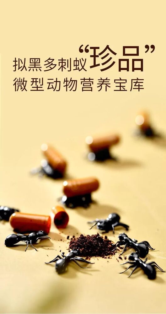 Premium Tien*s Ant Powder Capsules -100% Original, Boost Immunity and Vitality