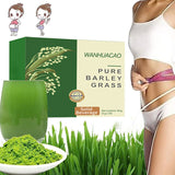 60PCS Na_veta Barley Grass Powder 100% Pure & Organic, Pure Organic Barley