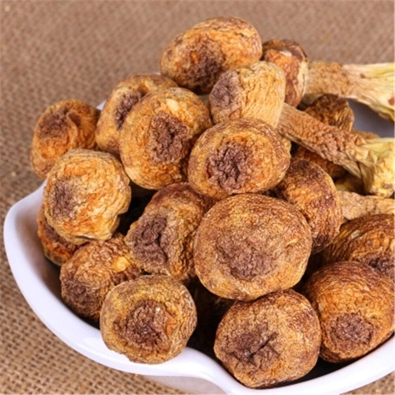 100% Natural Dried Almond Mushroom/ Agaricus Blazei/ Jisongrong 姬松茸 Chinese Herb