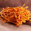 Dried Jin Chong Cao Herb Cordyceps Militaris Cordyceps Flower 虫草花