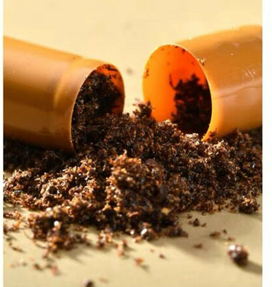 Tiens Ant Powder Capsules 100% Original