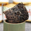 Year Supreme Bamboo Bingdao Ancient Pu'er Puerh Tea Yunnan Puer Ripe 500g