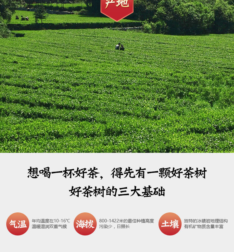 Anhua Shi Liang Tea Ten Tael Hua Juan Dark Tea Hei Cha In Bamboo Basket 362.5g