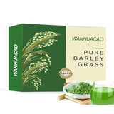 100Pcs Barley Grass Powder 100%Pure &Organic, Pure Organic Barley--