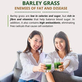 60PCS Na_veta Barley Grass Powder 100% Pure & Organic, Pure Organic Barley