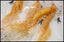 10 Pcs Fresh Ginseng Root Herbal Pren Optimal Grade Health Panax Ginseng Root