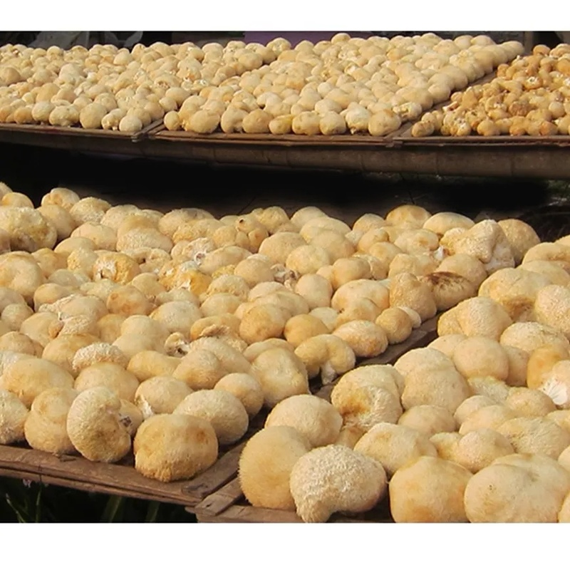 100% Bio Getrocknete Löwenmähne Pilz 500g – Natürliche Kräuter, Hochwertig