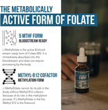 L-Methyl Folate 15mg + Methyl B12 Cofactor - Organic Berry Flavor