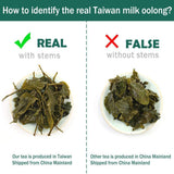 FullChea Milk Oolong Tea Taiwan High Mountain Jin Xuan Tea Milky 113g