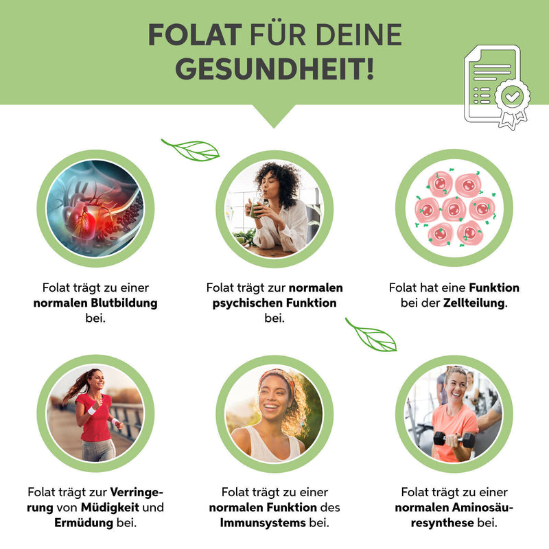 Organic Barley Grass Powder ground | German Barley Grass pure without additives