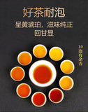 TeaHu Nan Baishaxi Instant Assorted Black Tea Brick Anhua Dark Tea Fu Cha 240g
