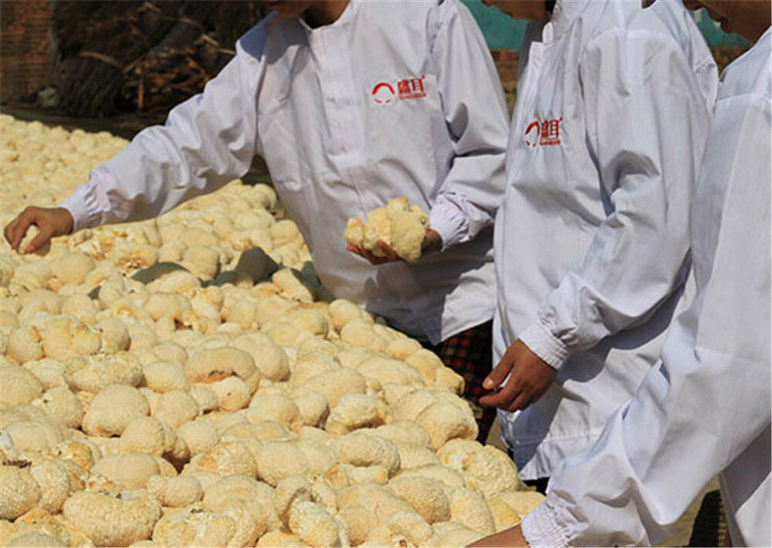 100% Bio Getrocknete Löwenmähne Pilz 500g – Natürliche Kräuter, Hochwertig