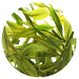 HELLOYOUNG 100g Premium Spring Anji Bai Cha Long Jing White Dragon Well GREENTEA