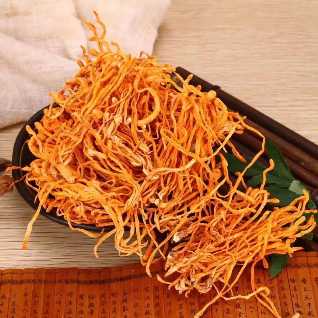 500g Natural Cordyceps Sinensis Top Dried Mushroom Chinese Tradition Medicine