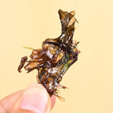 Chinese Dried Snack Food Edible Seaweed for Cooking 紫菜 海苔 Porphyra Nori zicai