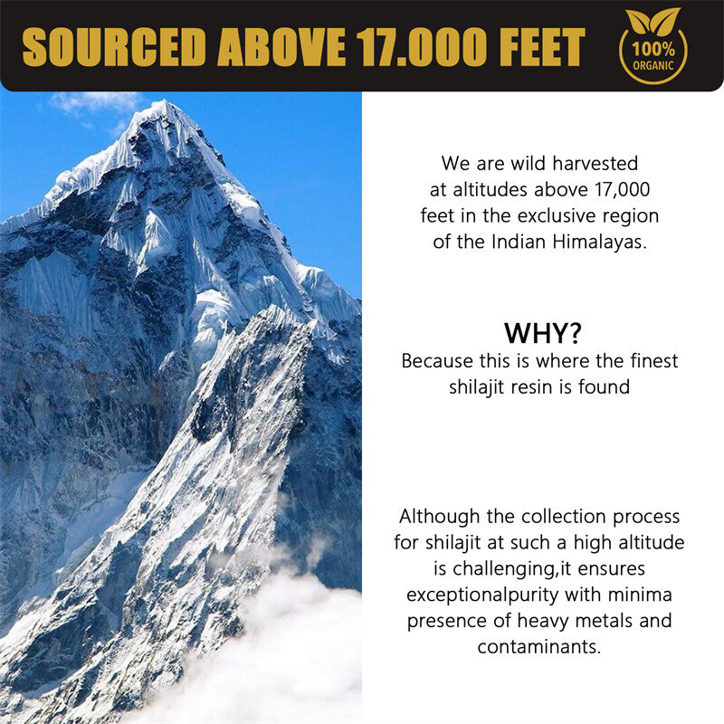 Himalaya 100% rein organisch, Shilajit, Weiches Harz, extrem potent, Fulvosäure