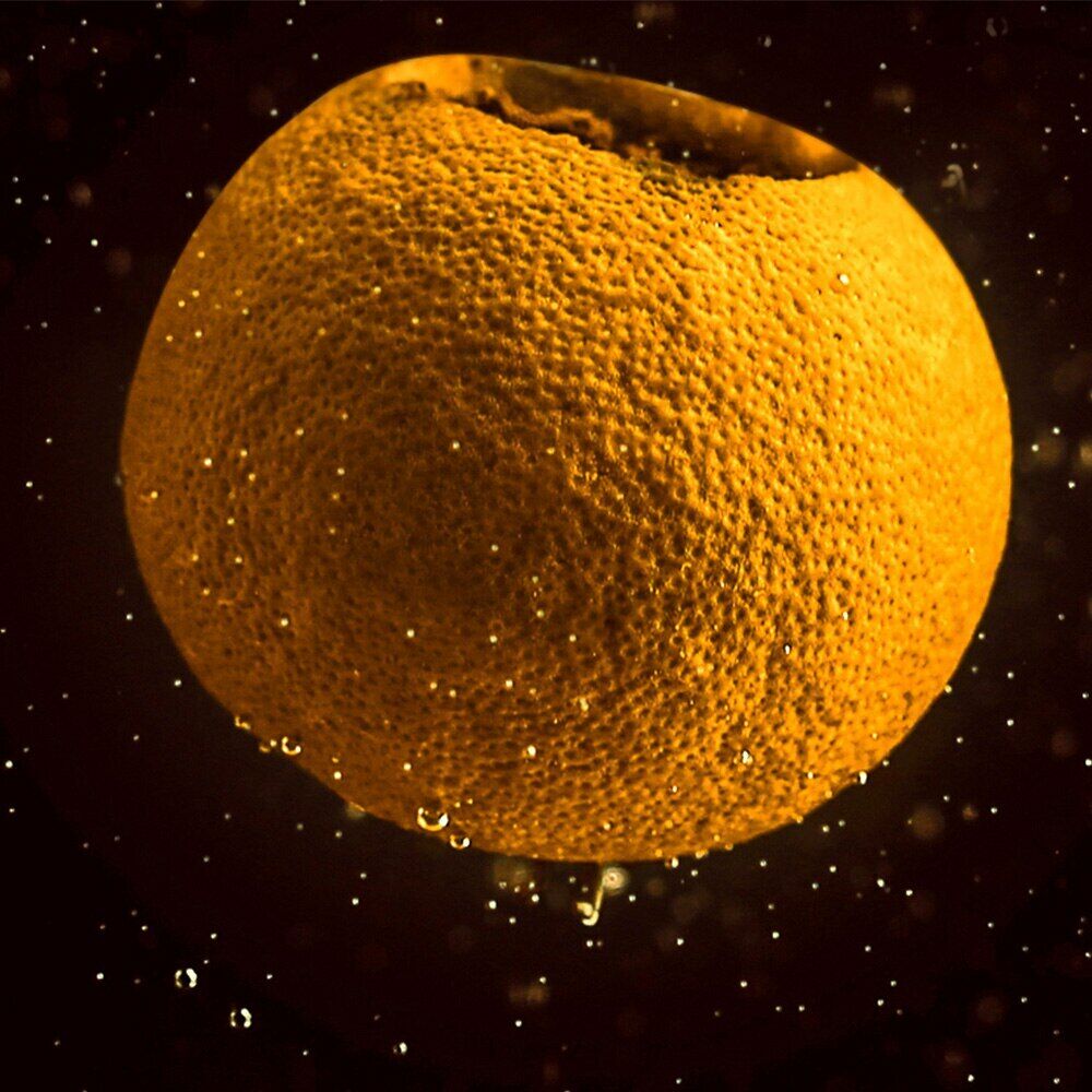 100g Tangerine Peel Ripe Puer Tea XinHui "Chen Pi" Shu Puerh Tea