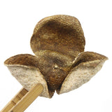 Chinese Green XinHui "Chen Pi" Dried Tangerine Peel Orange Peel Tea 50g