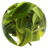 HELLOYOUNG 100g Spring Anji Bai Cha Long Jing White Dragon Well Chinese GREENTEA